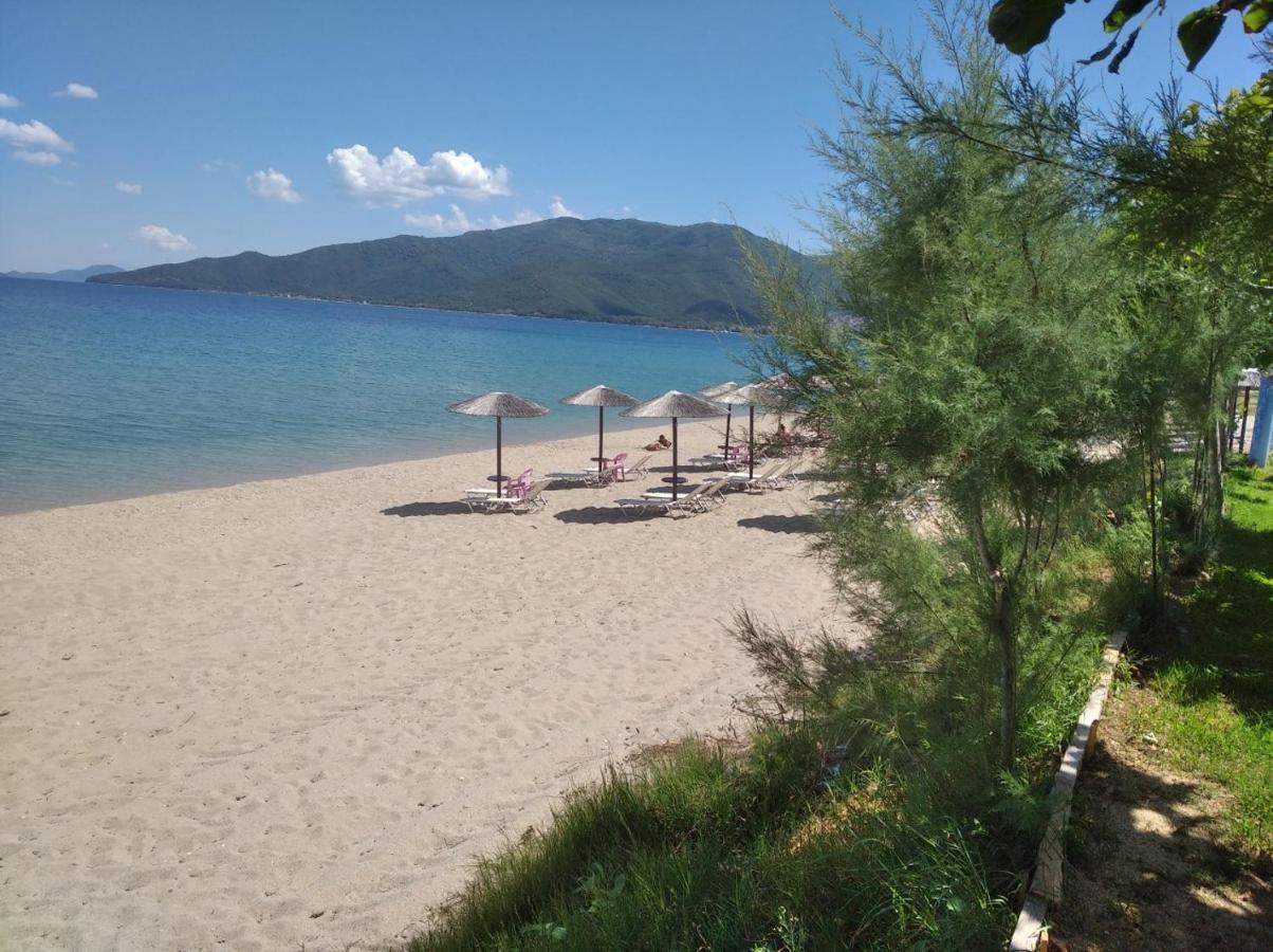 Angie'S Summertime Vrasná Kültér fotó